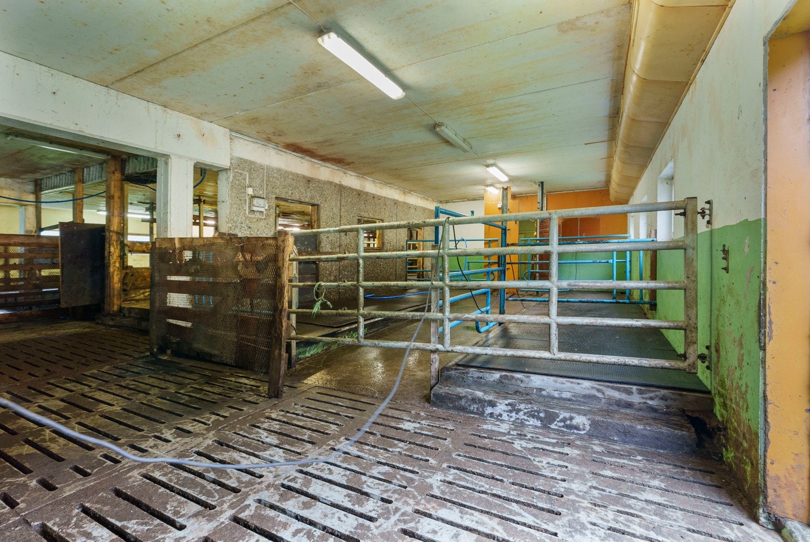 Driftsbygning - Fjøsrom Galleribilde