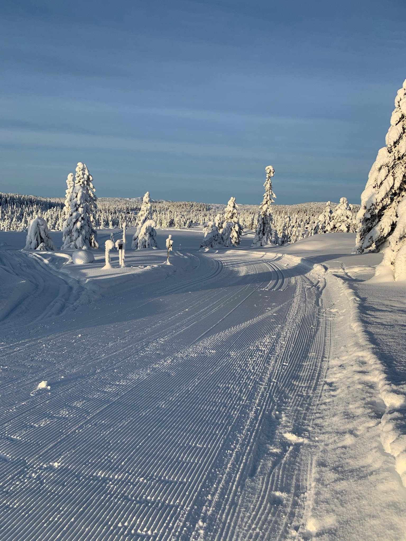 Tilgang til flotte skiløyper. Galleribilde