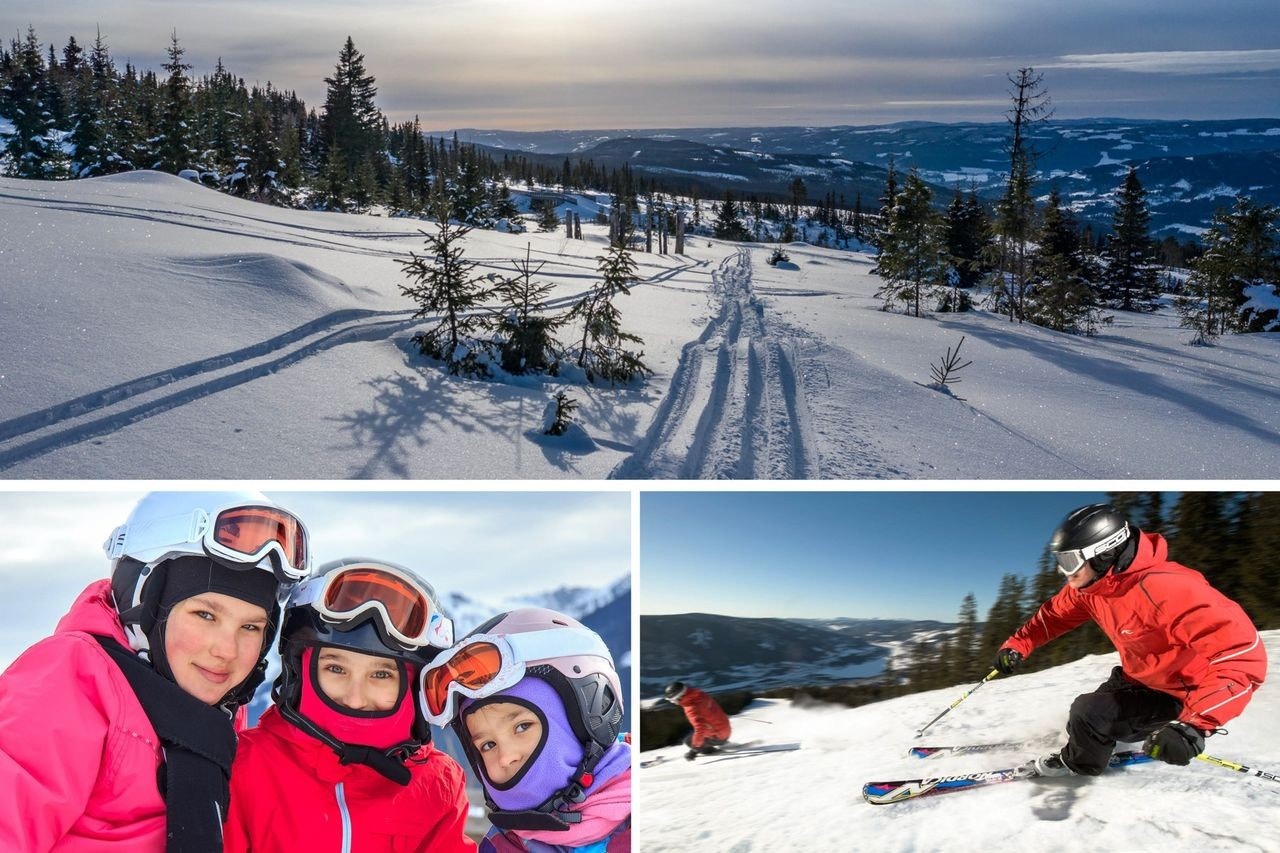 Nestingsætra Galleribilde