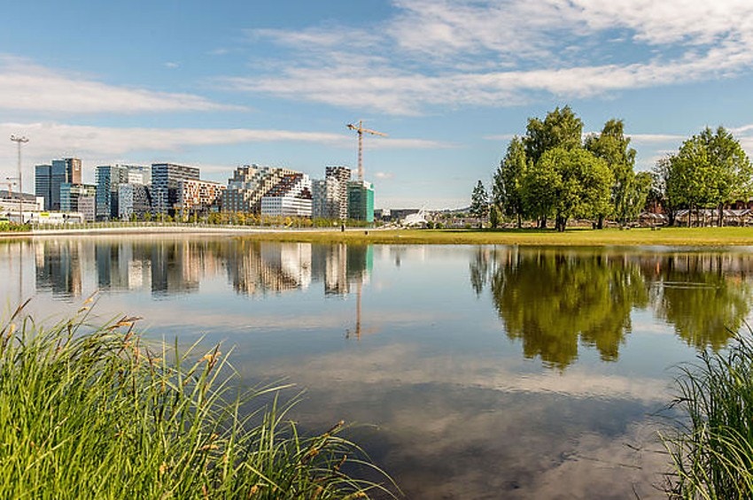 Områdebilde. Galleribilde