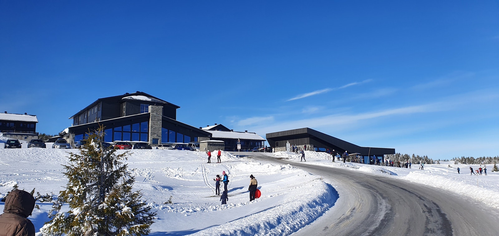 Veien inn til Pellestova. Galleribilde