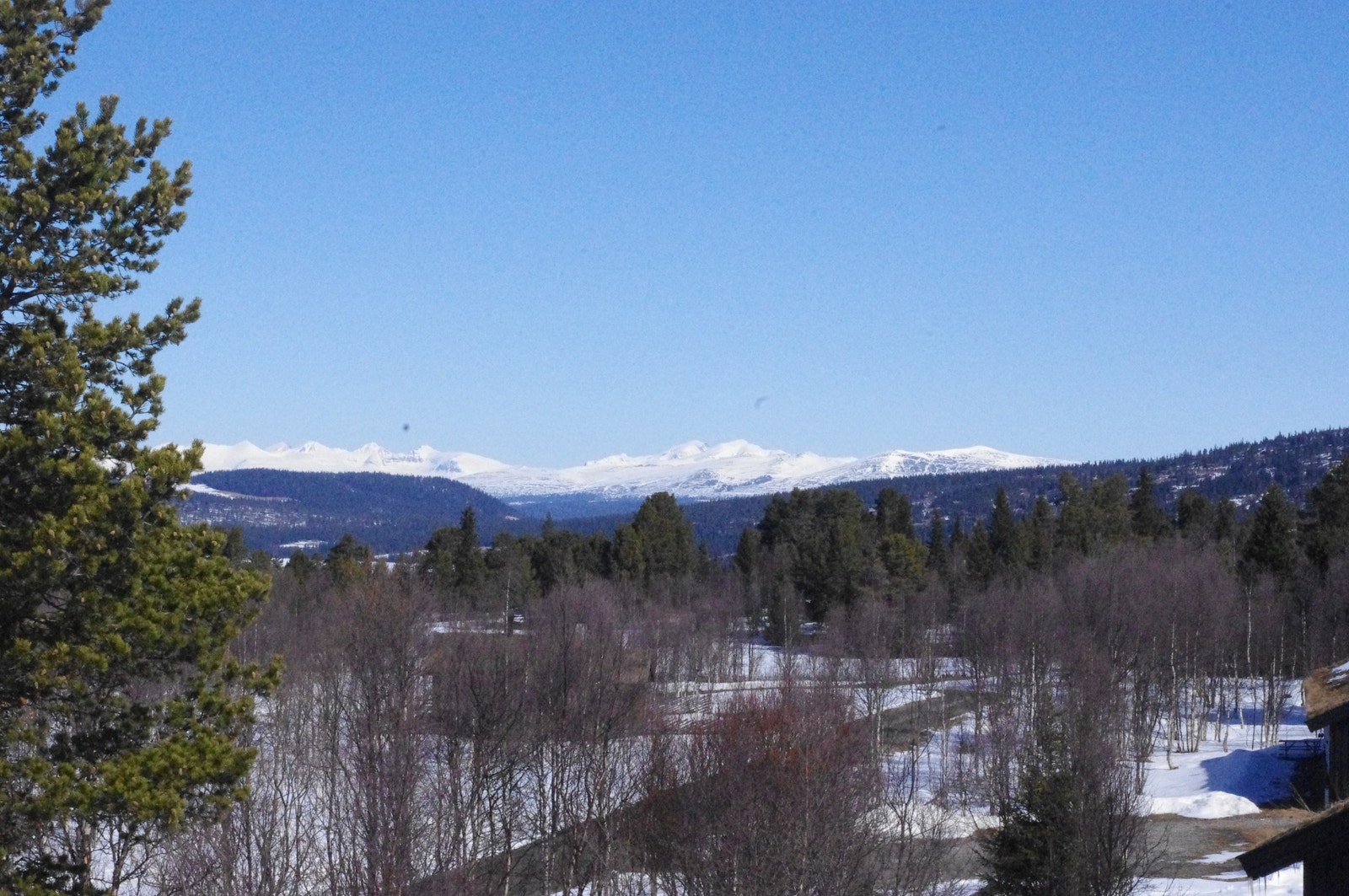 Utsikt til Rondane Galleribilde