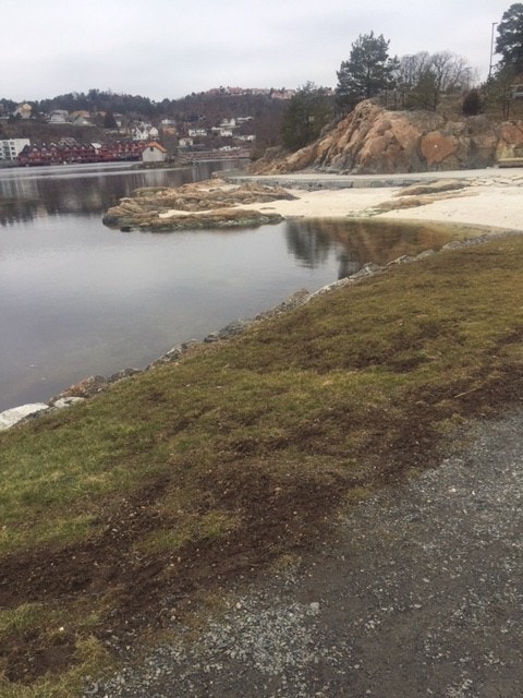18.Løkhomen Badeplass Galleribilde
