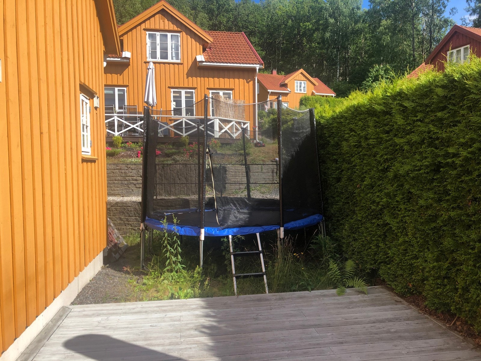 Trampoline med sikkerhetsnett på baksiden av hytten til stor glede for ungene Galleribilde