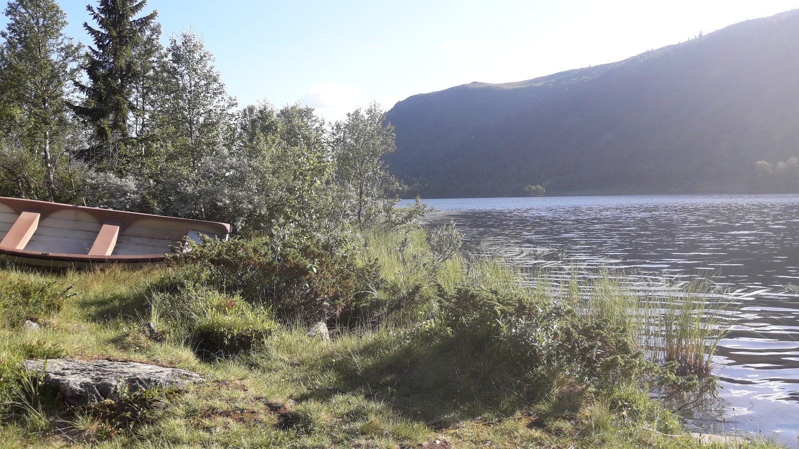 Ved Valsvannet Galleribilde