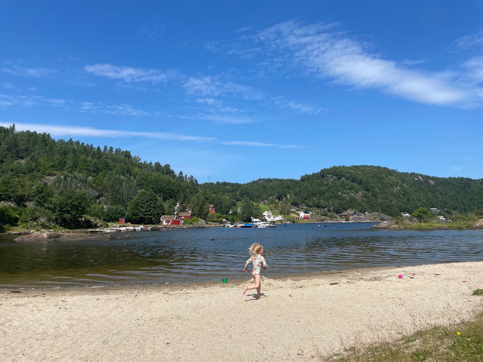 Felles strandsand Galleribilde