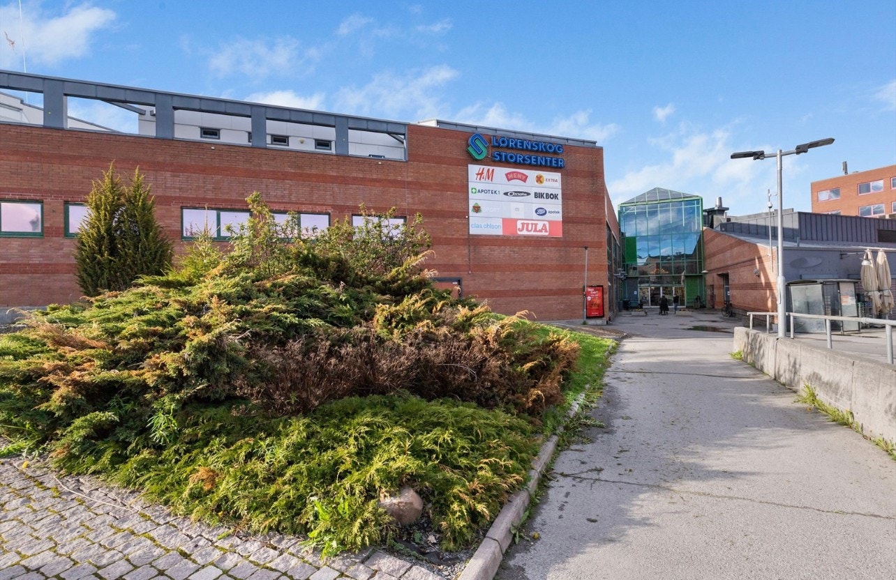 Triaden senter rett over veien Galleribilde