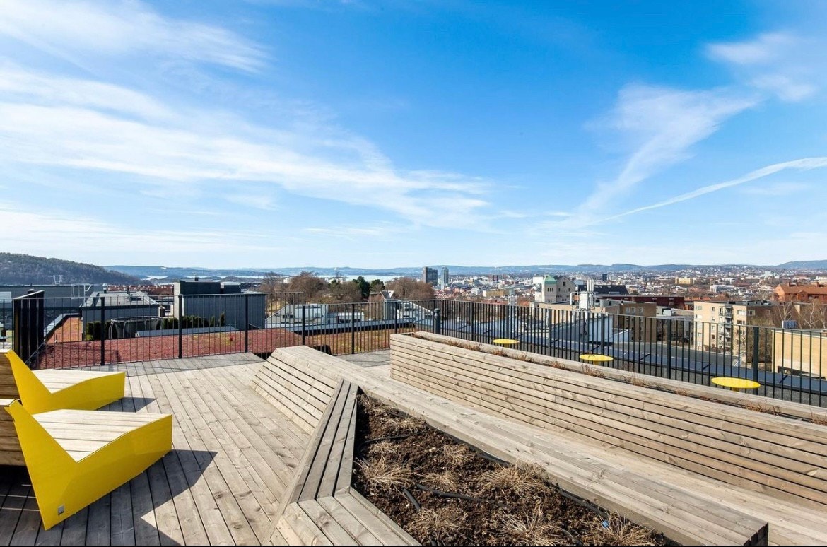 Felles takterasse Galleribilde