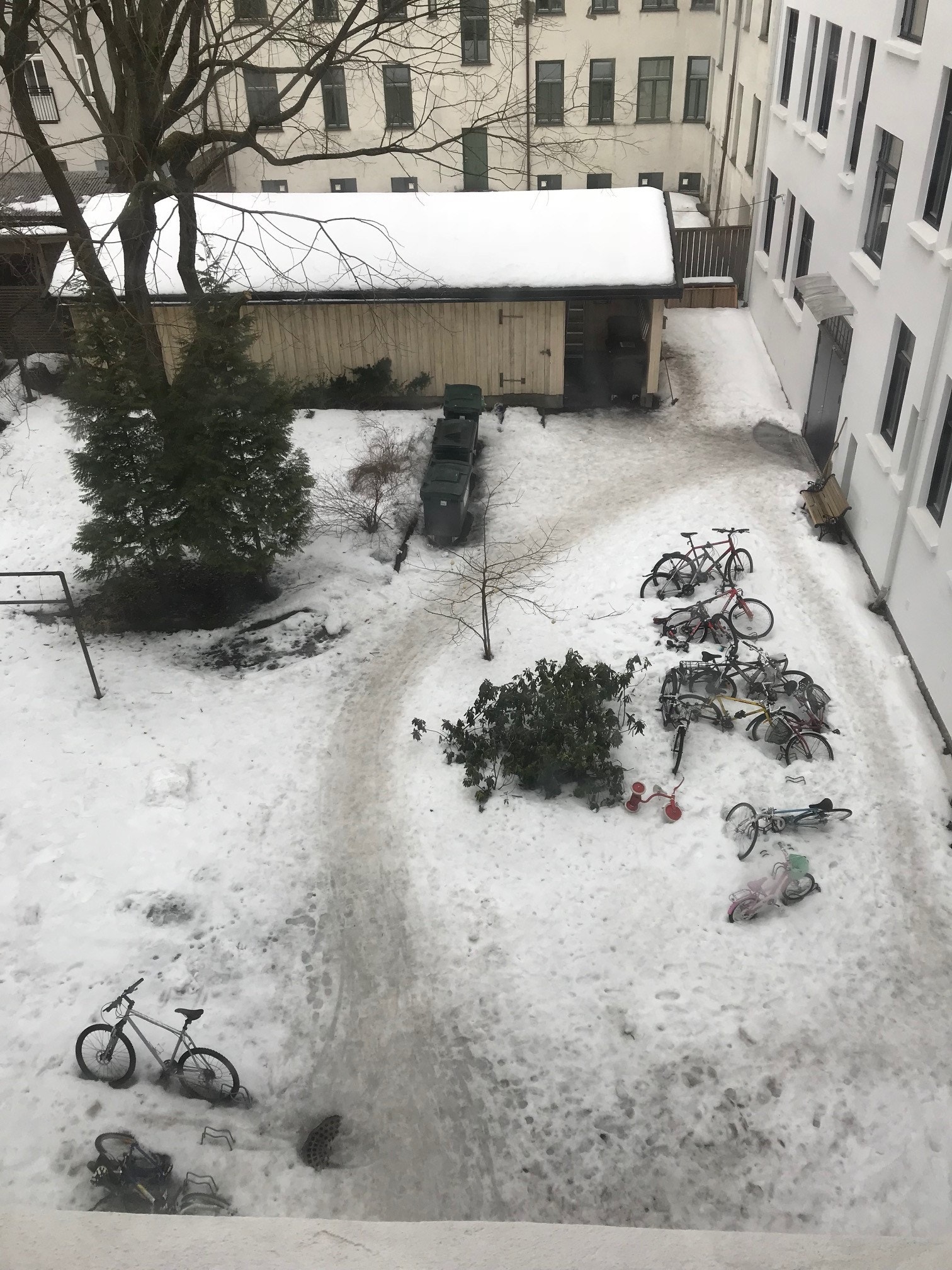 Bakgård Galleribilde