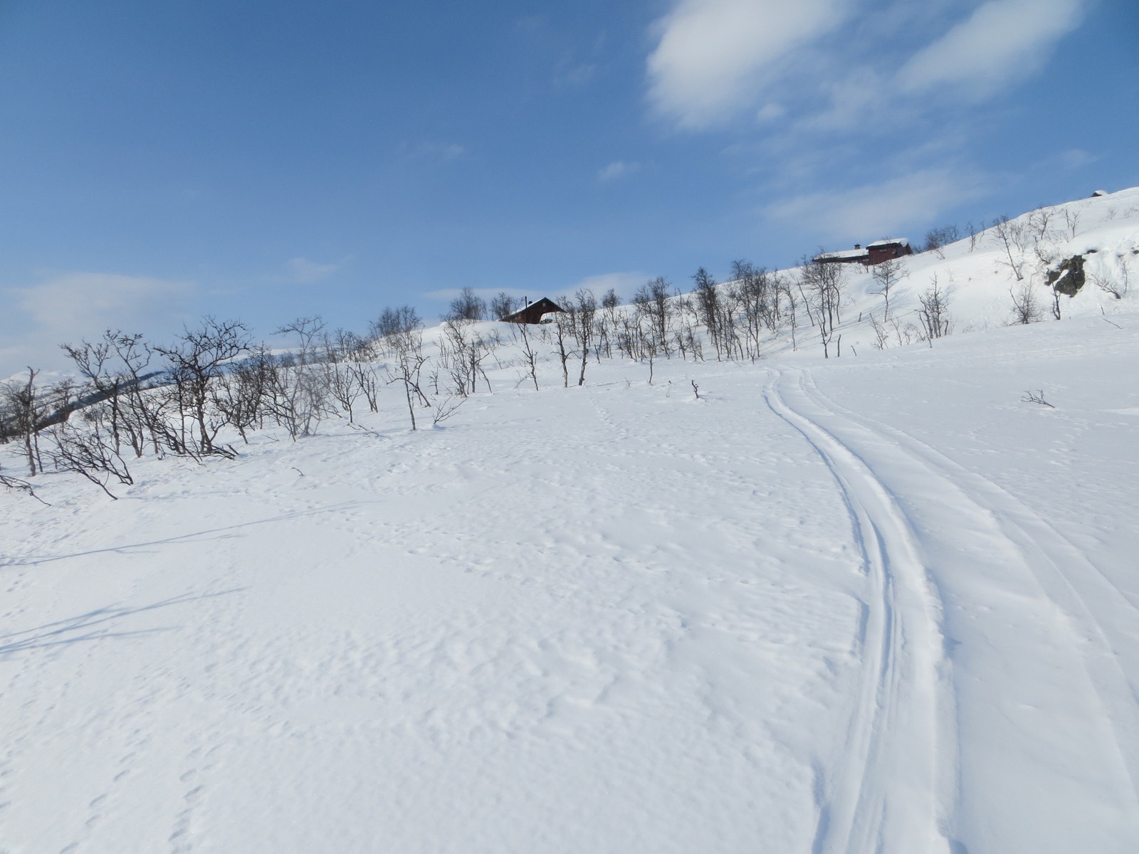 Utsikt fra tomtene 126, 127 og 128 mot vest.
Mars 2022. Galleribilde