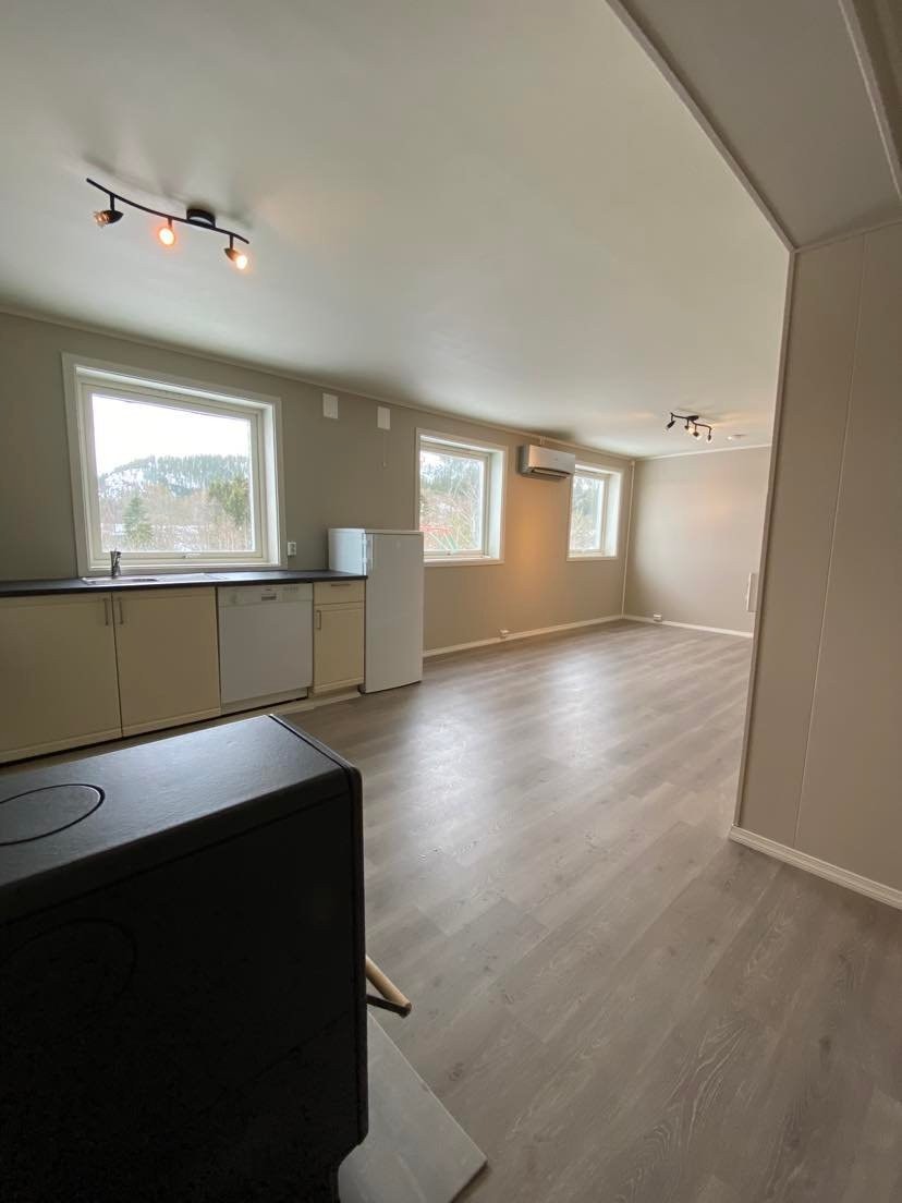 Stue/kjøkken Galleribilde