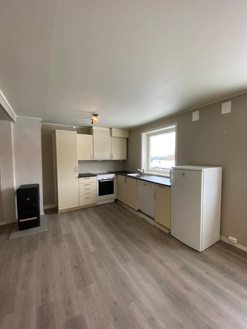 Stue/kjøkken Galleribilde