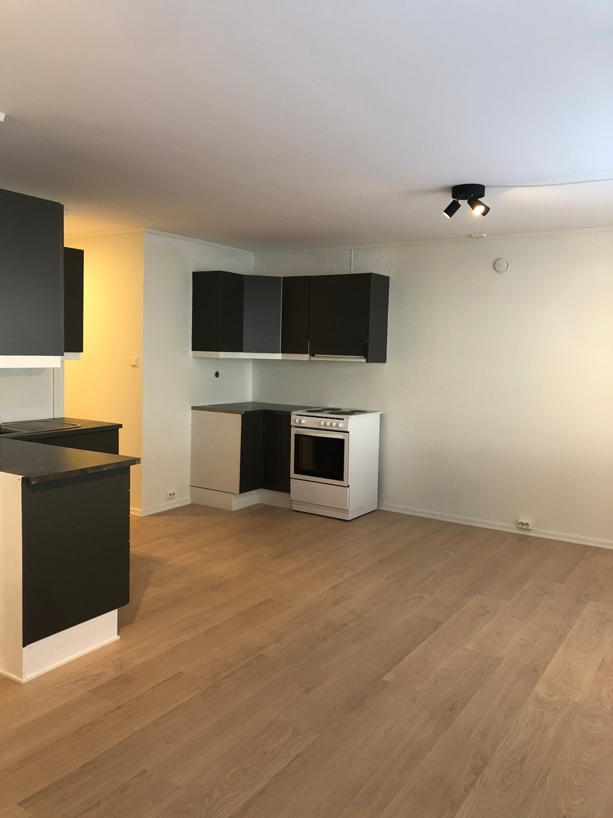 Stue/kjøkken Galleribilde