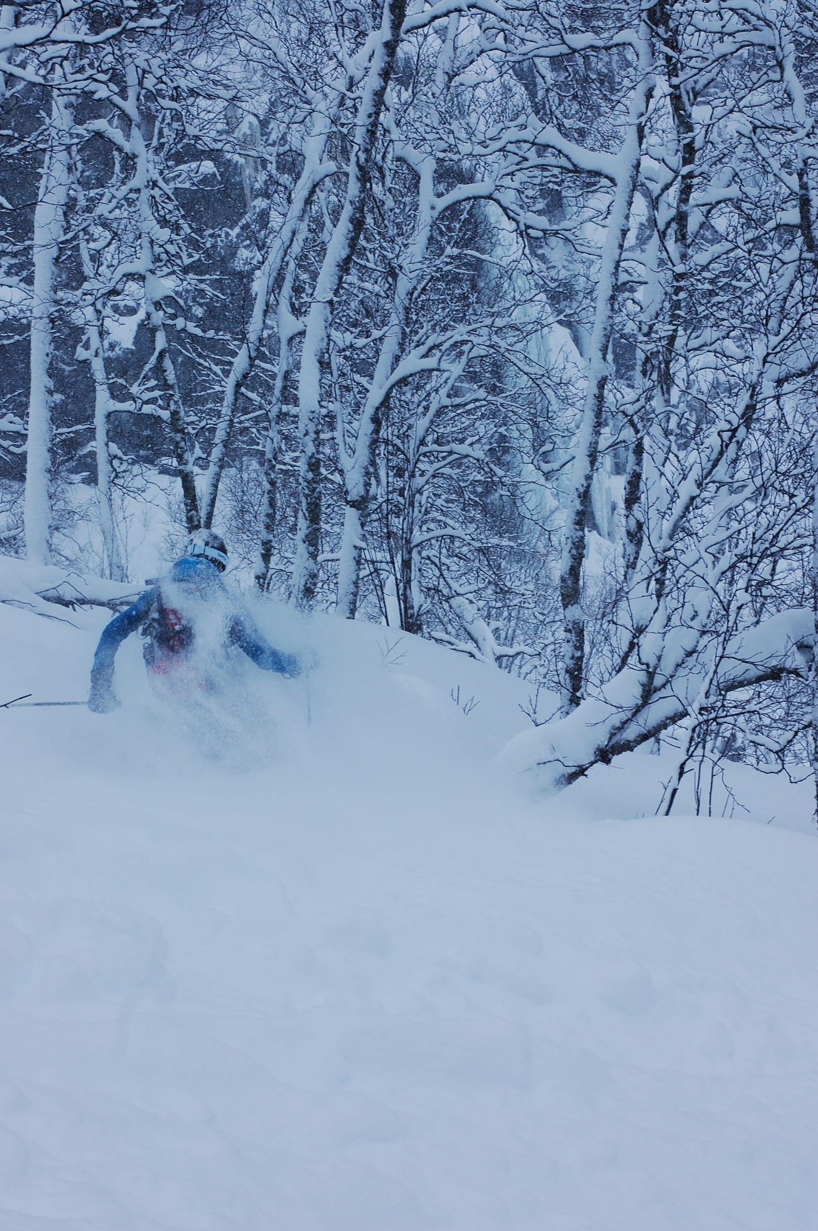 Backcountry ski Galleribilde