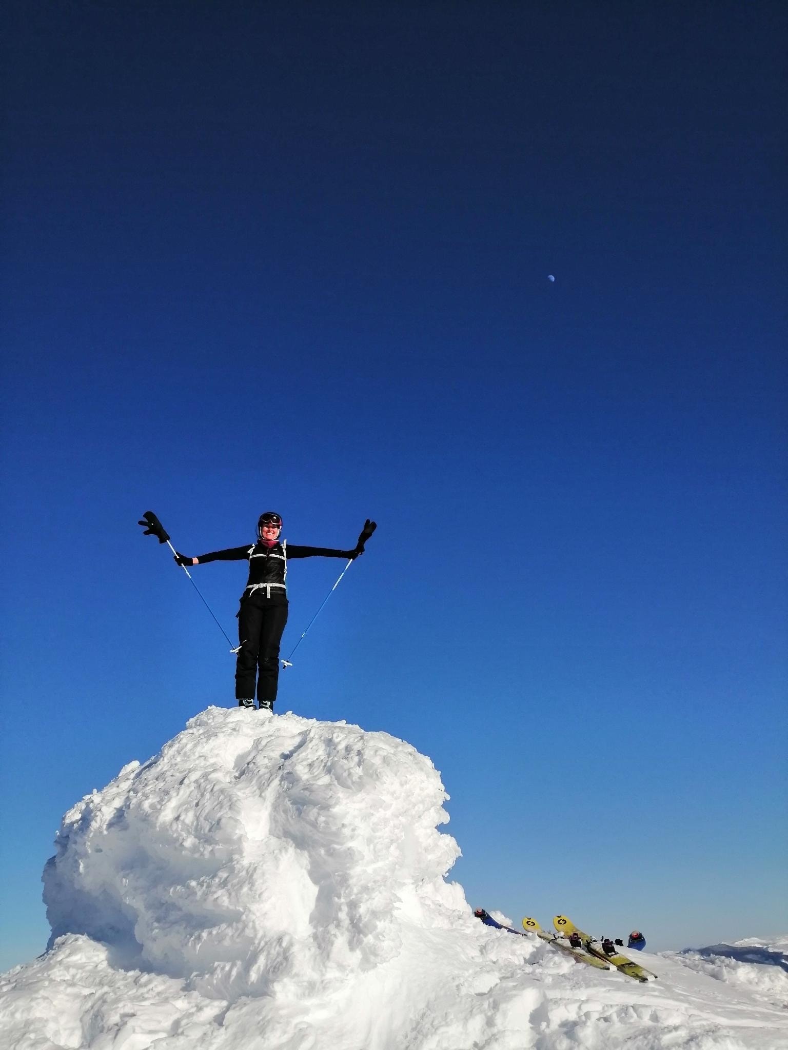 Toppen av Tarven Galleribilde