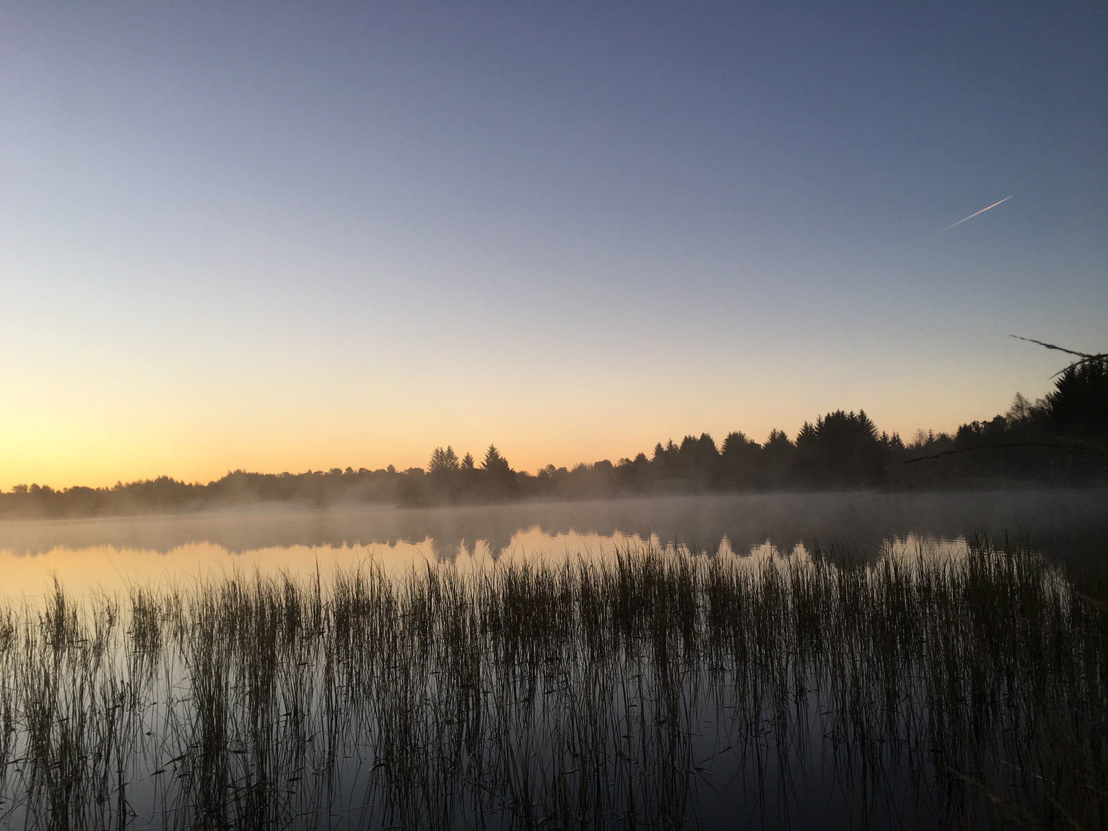 Bildet frå Mannavatnet - ein flott destinasjon i nærleiken til Steinhaugmarka