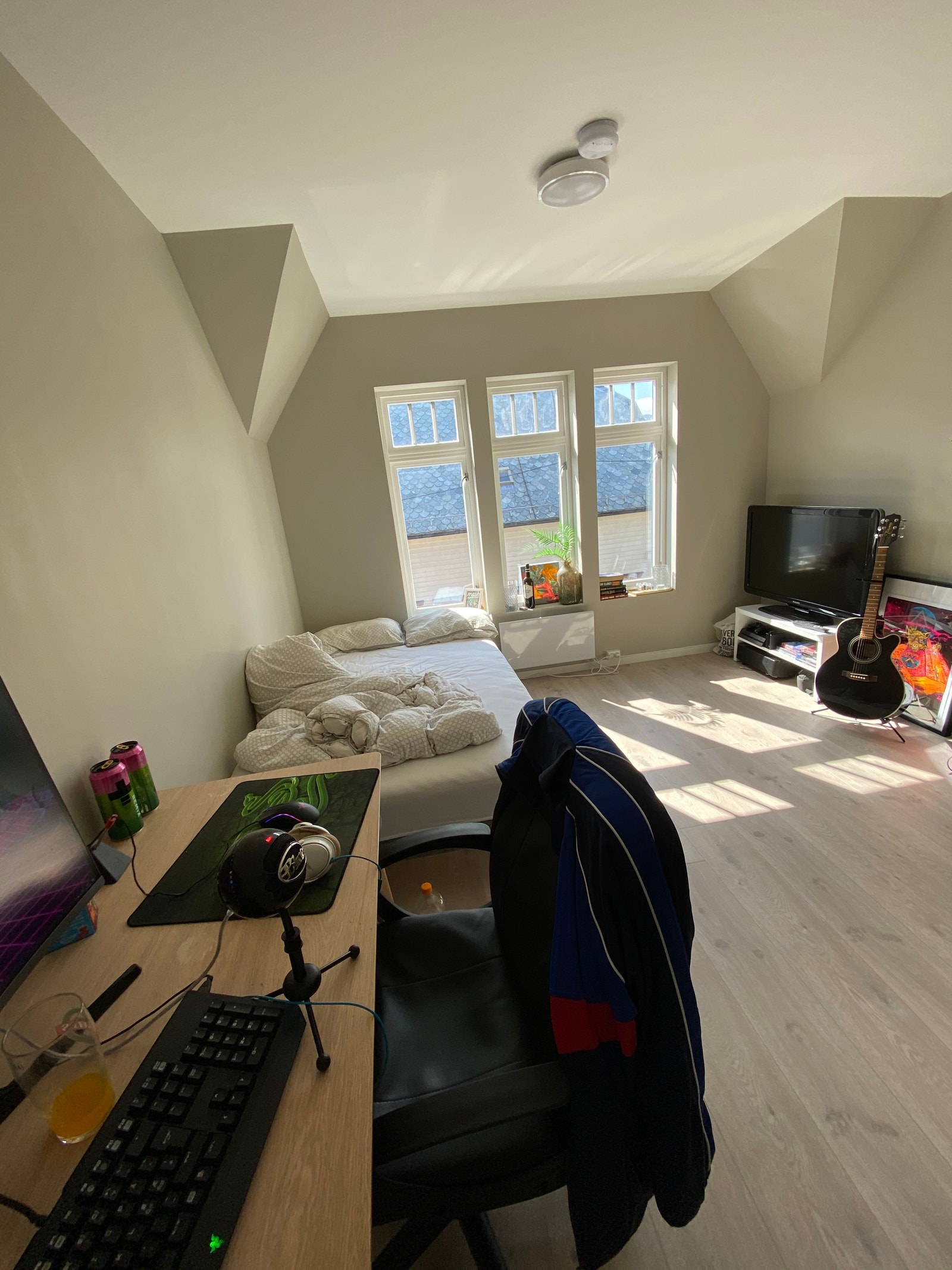 Rom 3: Utleid Galleribilde