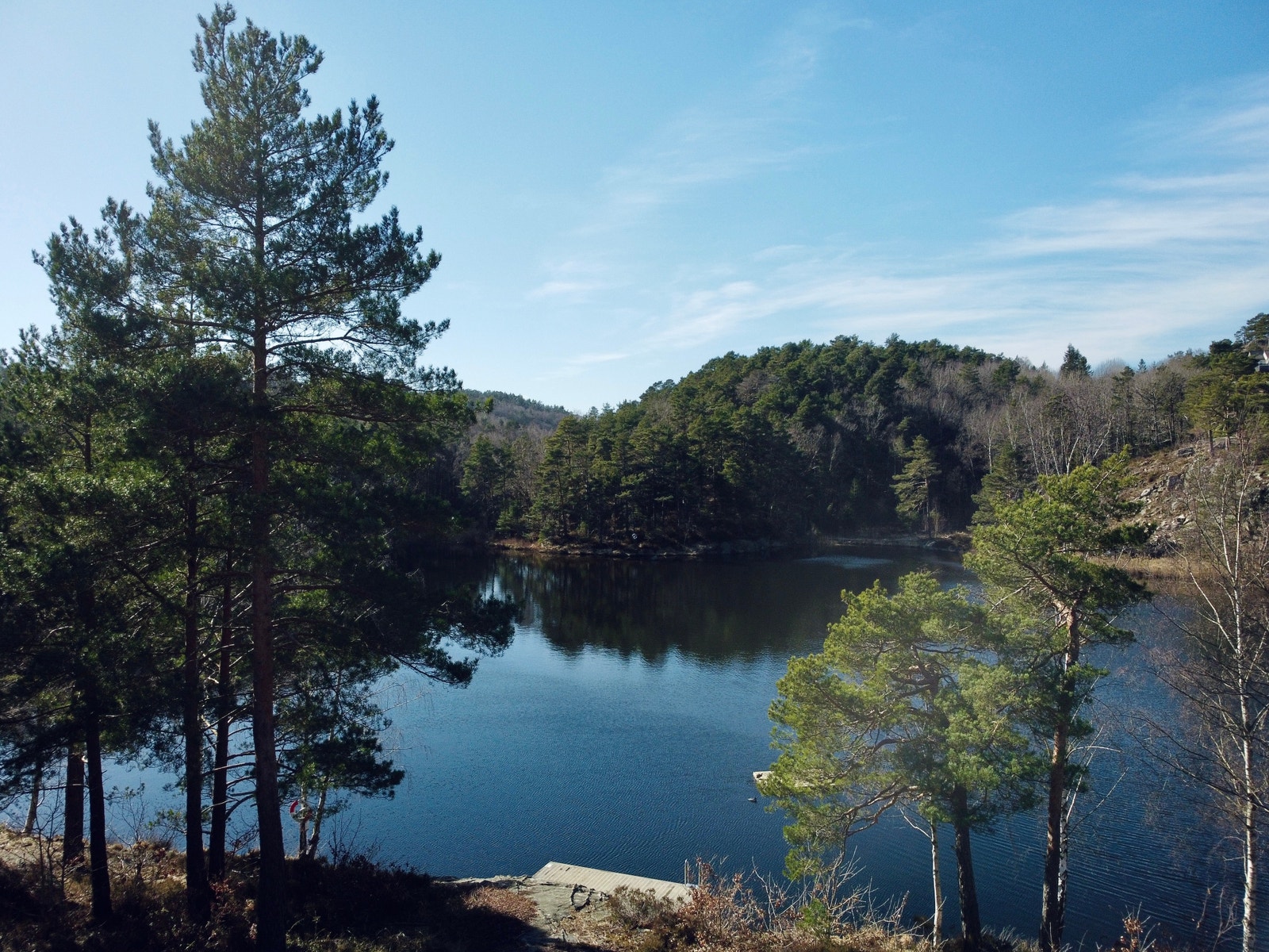 Badevann og turterreng Galleribilde