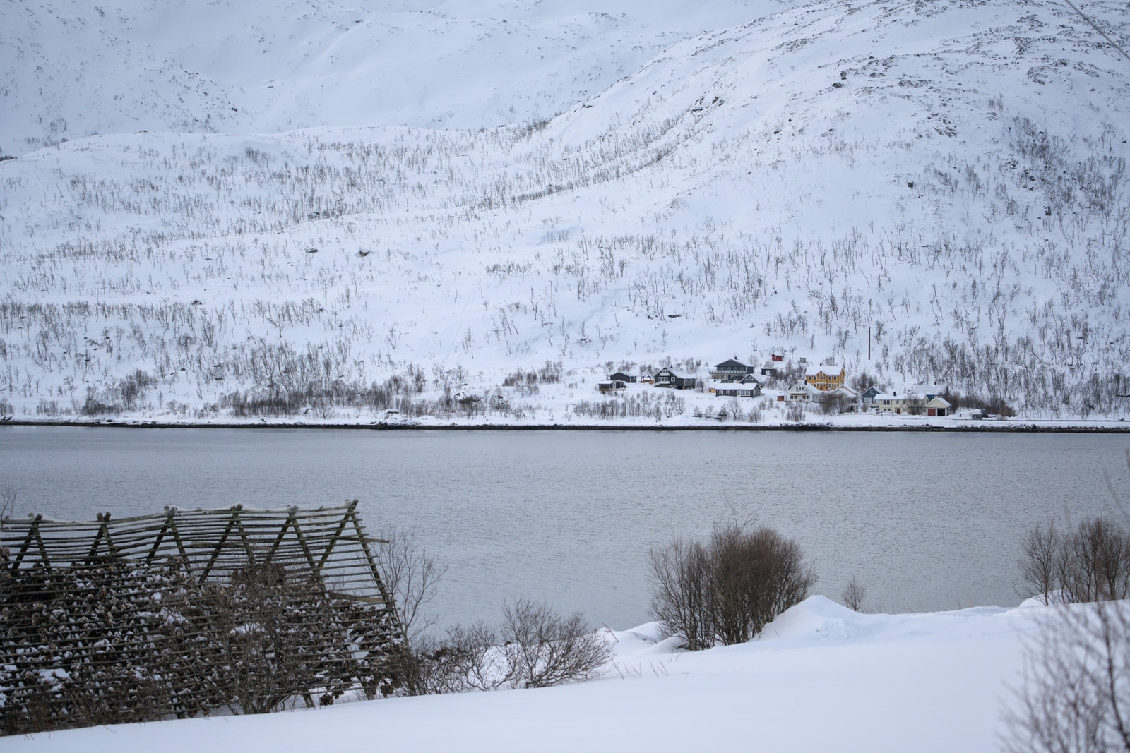 tomteområde sett fra butikken Galleribilde