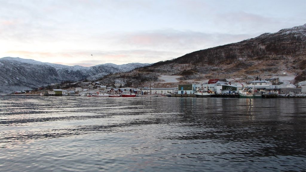 Områdebilde Galleribilde