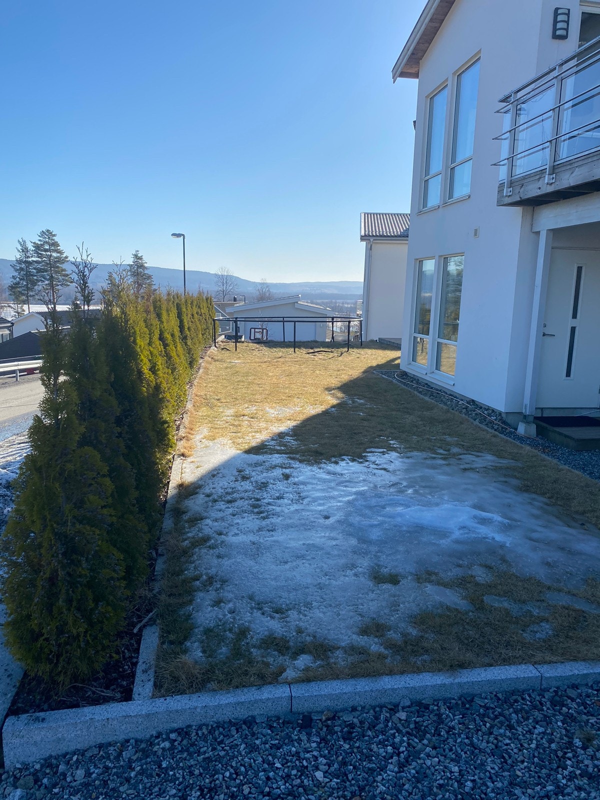 Egen gressplen Galleribilde