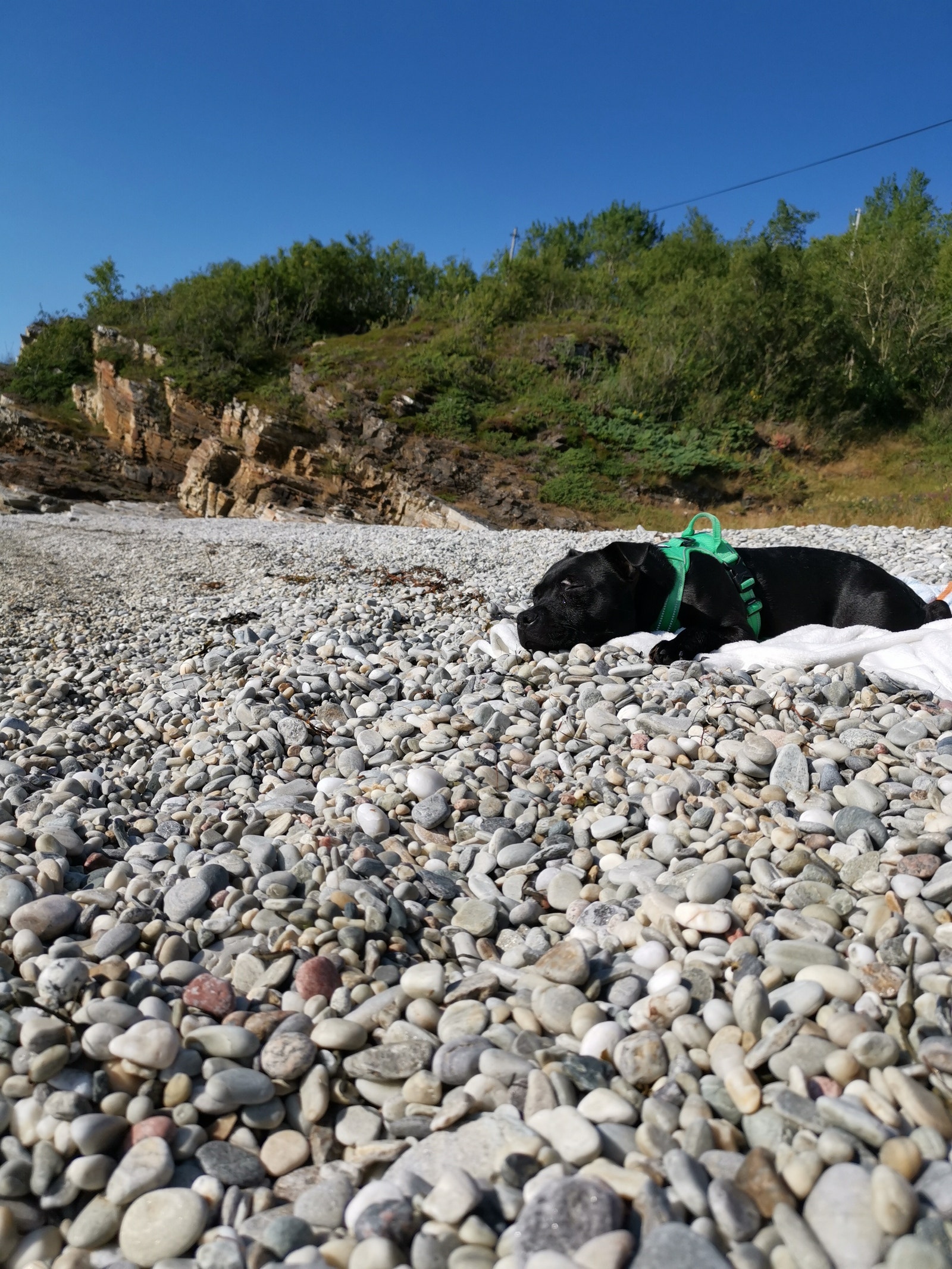 denne flotte steinstranda ligger en fin spasertur unna for store og små. Fin adkomst med båt også Galleribilde