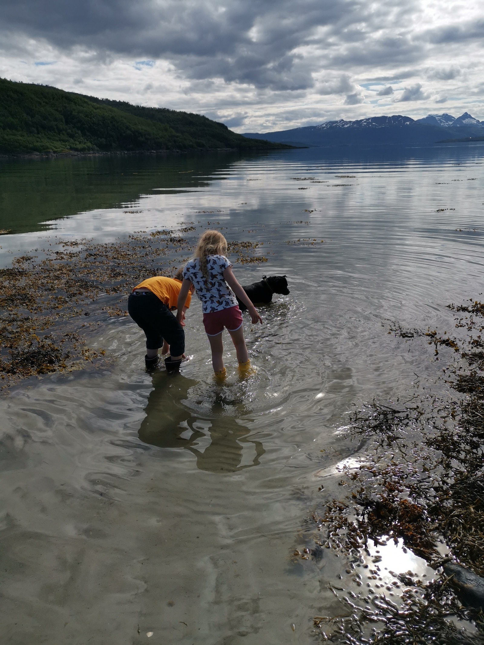 Flott i fjæra Galleribilde