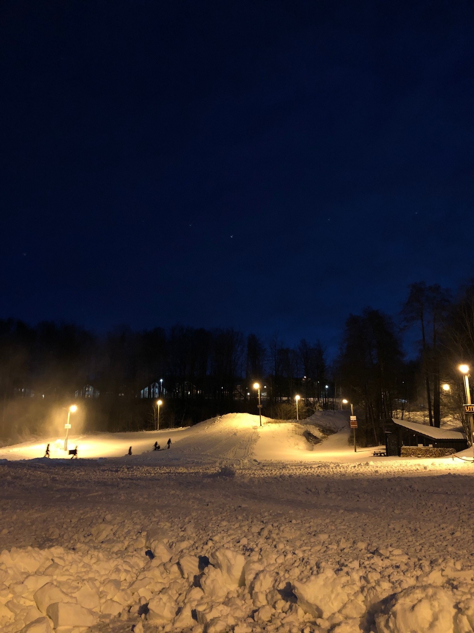 Utsikt stuevindu vinter Galleribilde