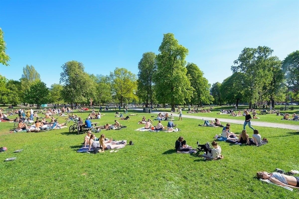 Sommer og Sol hele dagen og bo veldig urbant Galleribilde