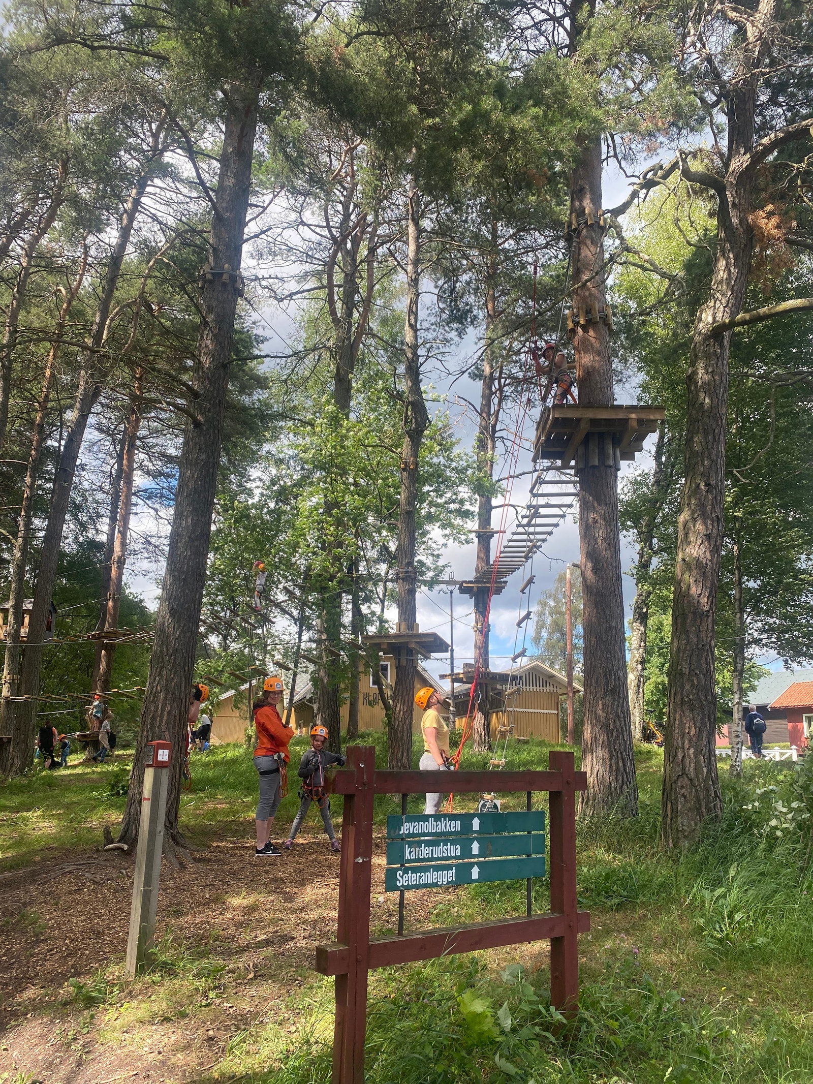 Det er en flott klatrepark i Hamar, rett bortenfor domkirkeodden. Galleribilde