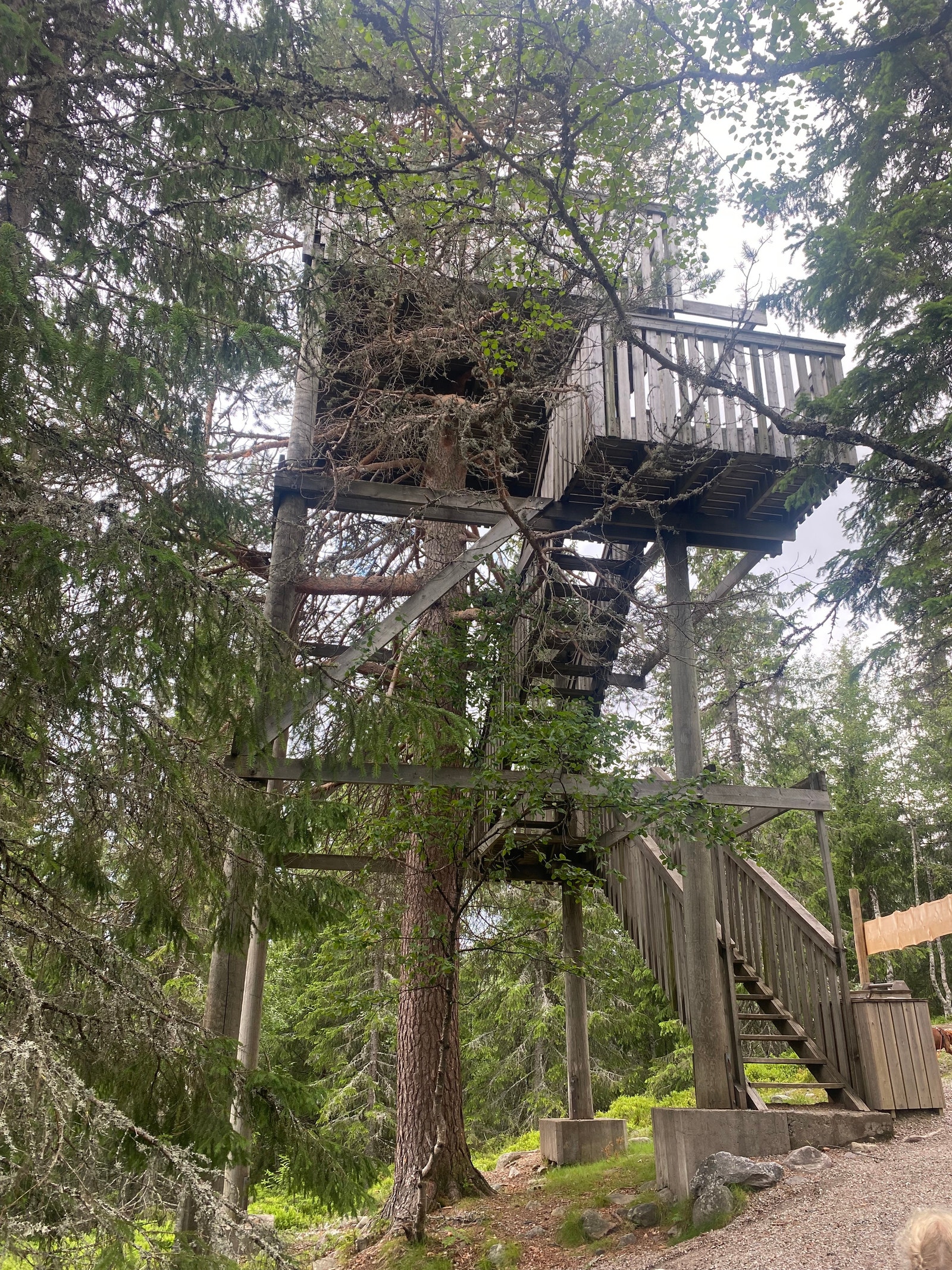 Utsiktstårn i skogen ved Gåsbu. Galleribilde