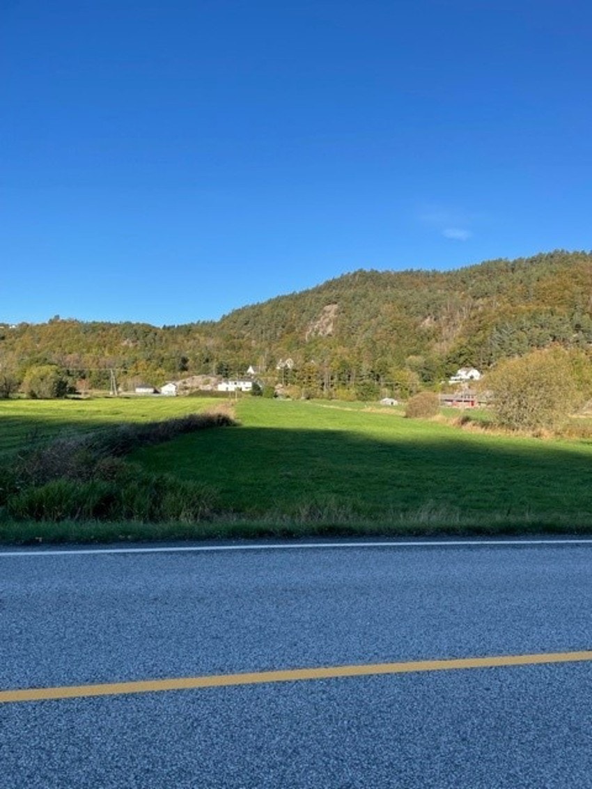 Parsell på Monan Galleribilde