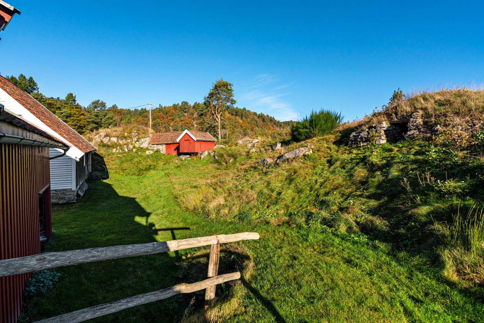 Del av tomten som er fredet Galleribilde