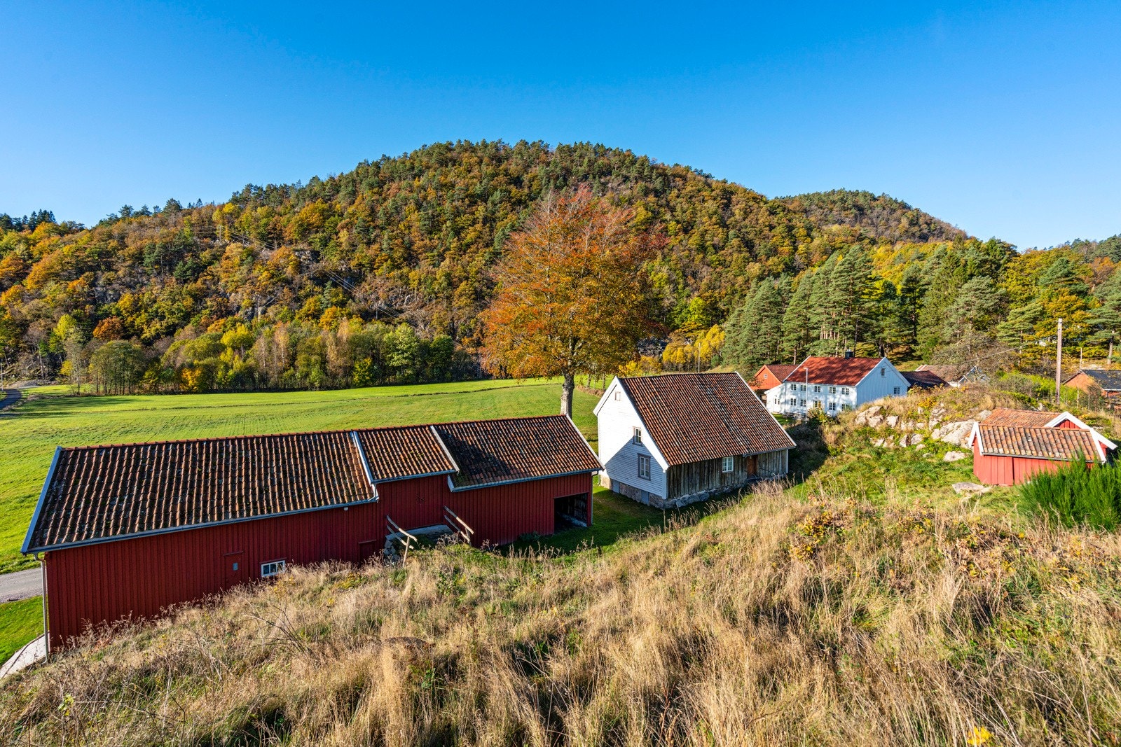 Del av gården som er fredet Galleribilde