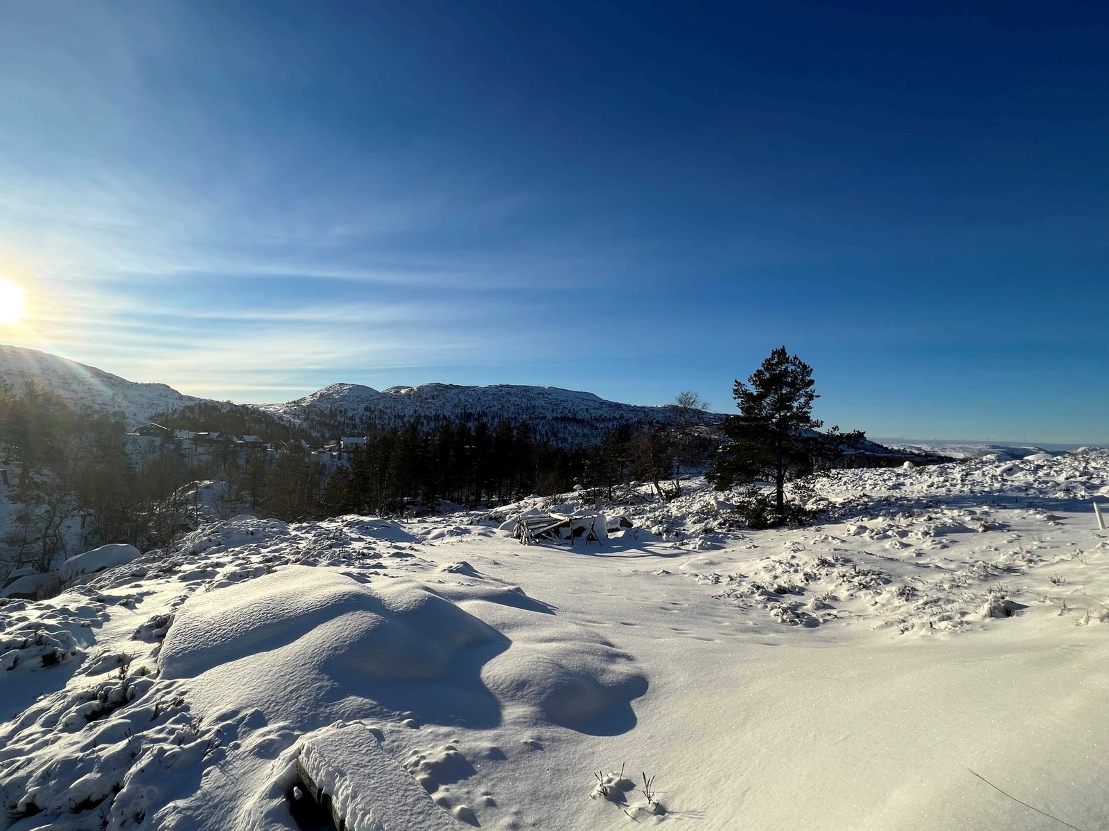 Tomten ligger solrikt og lunt til - rett ved gruvebyen og rett med skiløypa som tar deg opp på høyfjellet Galleribilde