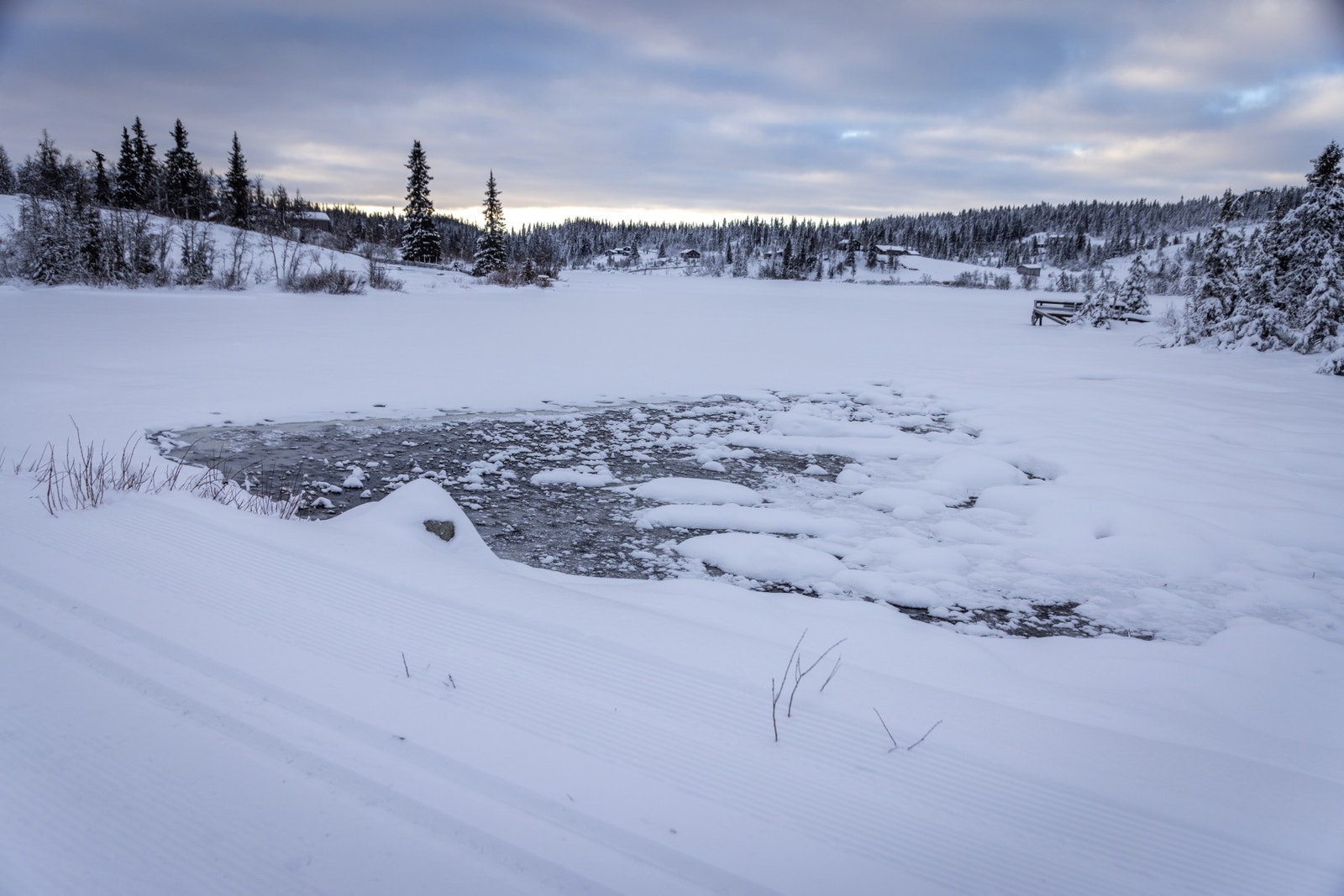 Fra tomteområdet Galleribilde
