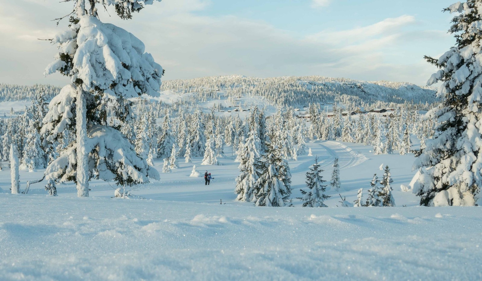 Fra tomteområdet Galleribilde
