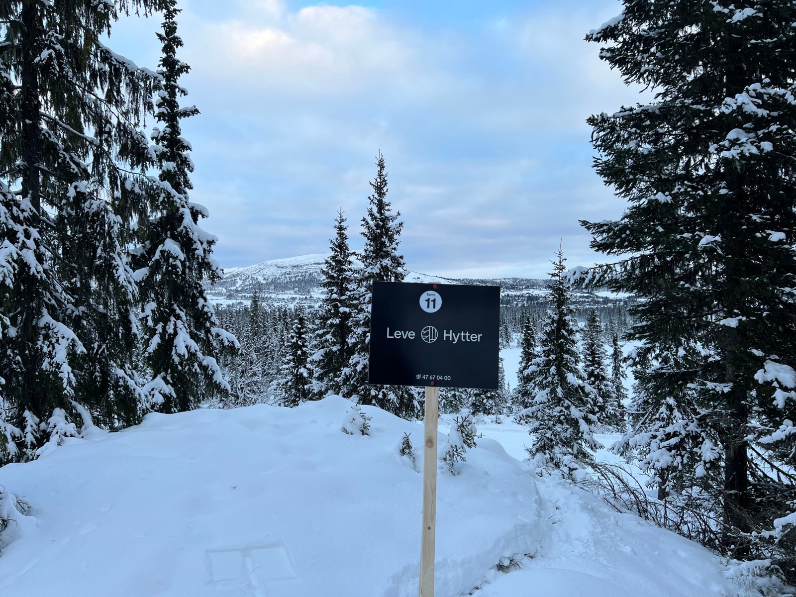 Fra tomt 11 mot Skeikampen Galleribilde