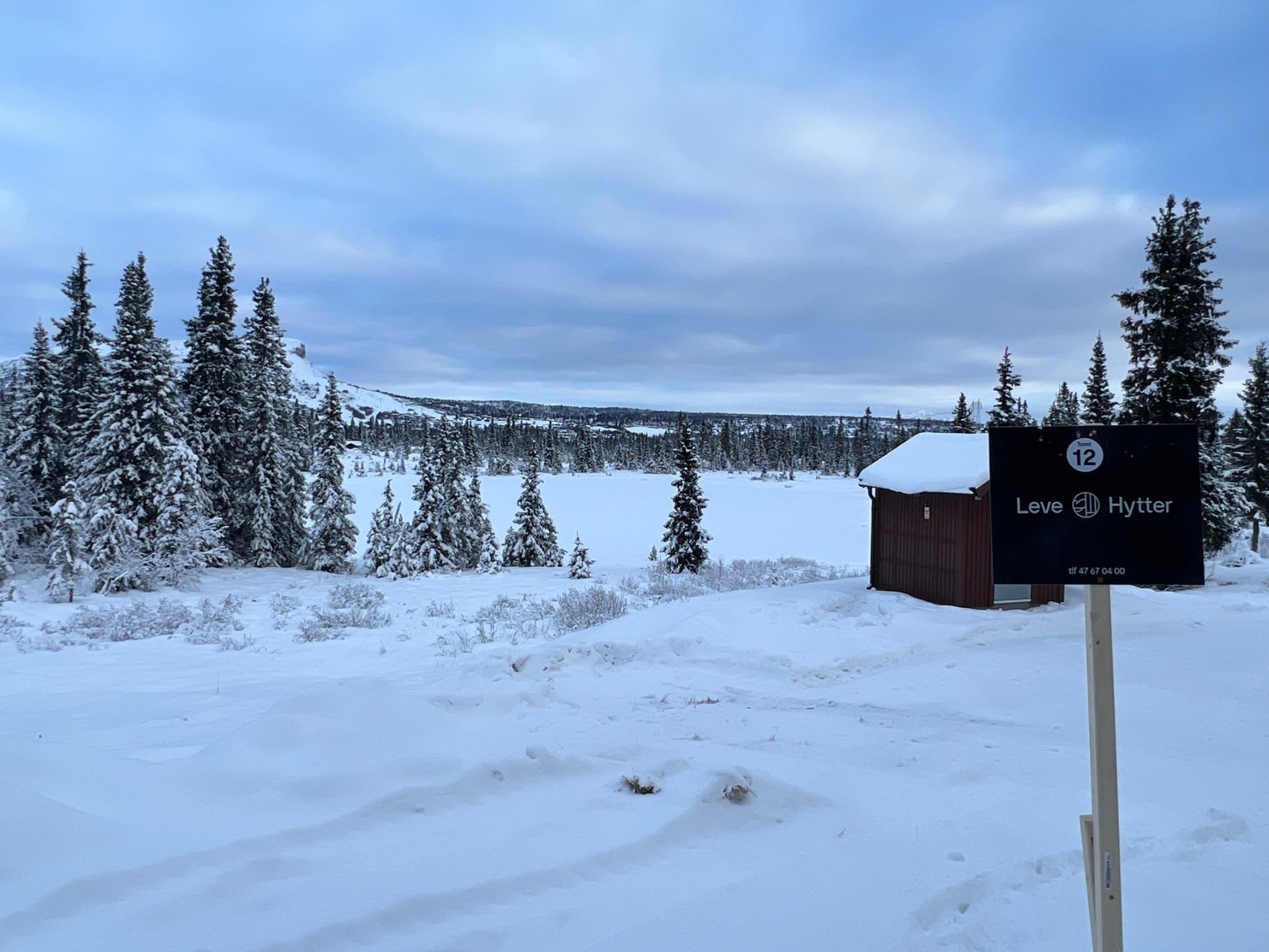 Fra tomteområdet mot Svarttjernet Galleribilde