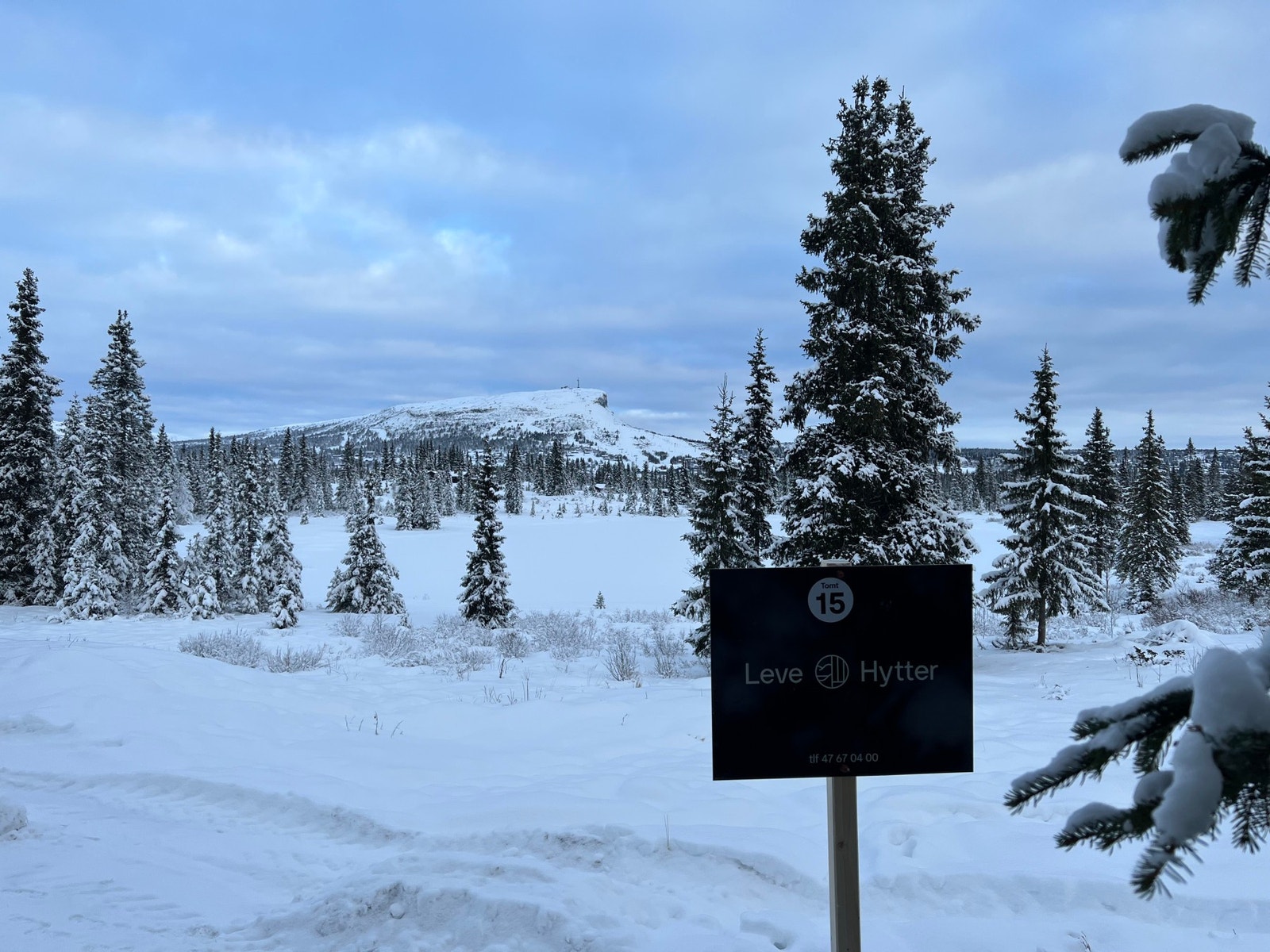 Fra tomteområdet mot Skeikampen Galleribilde
