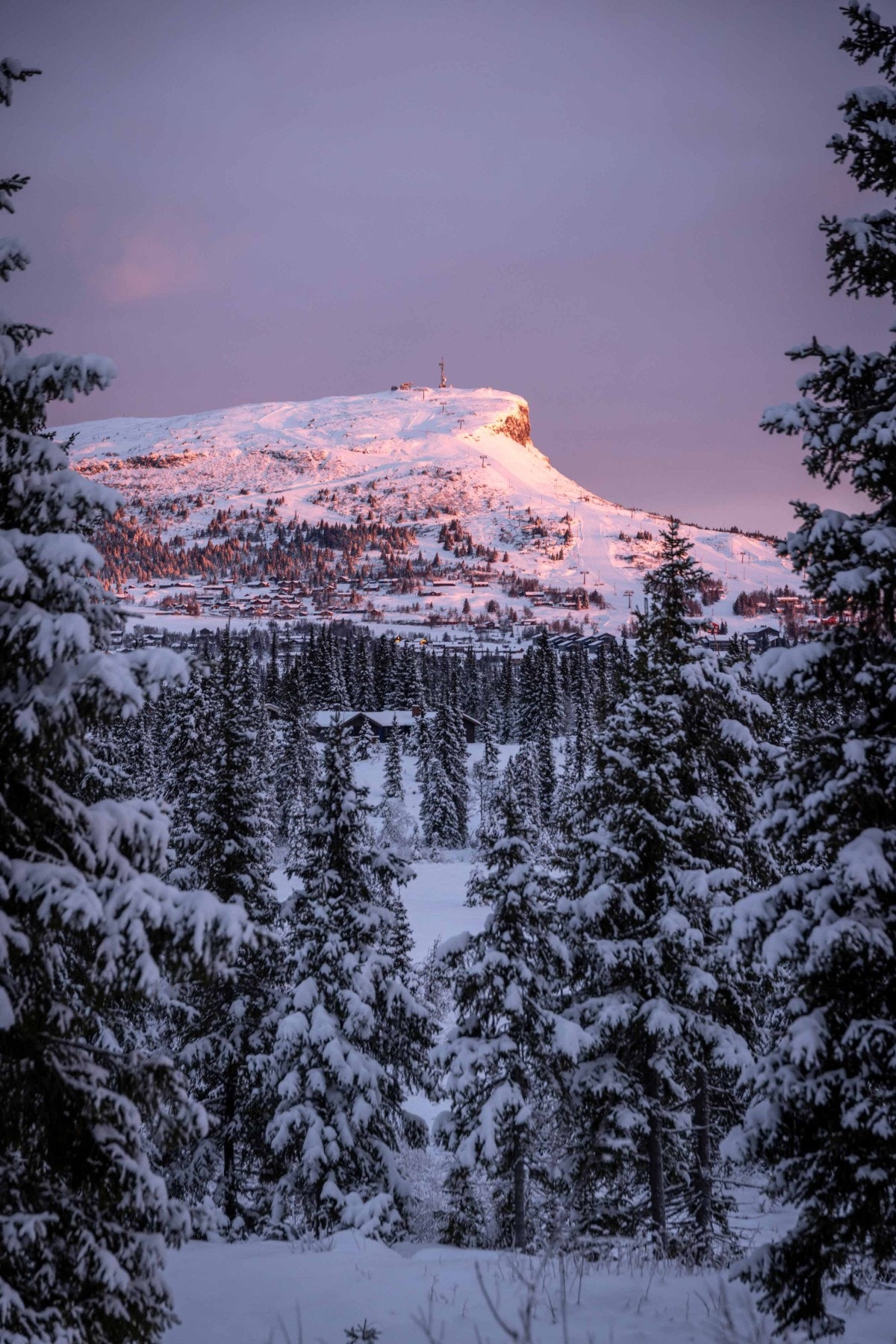 Mot Skeikampen Galleribilde