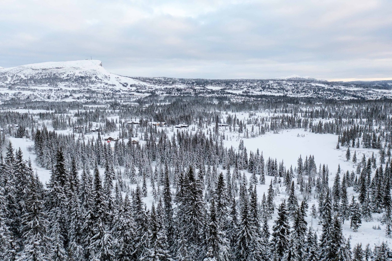 Dronefoto fra området, foto Mono Media Galleribilde