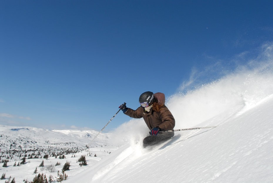 Flotte forhold! Galleribilde