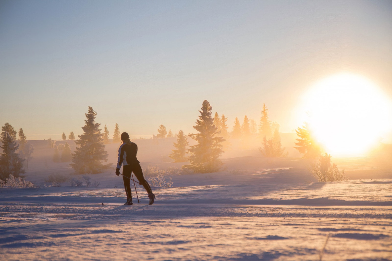 Vinterstemning Galleribilde