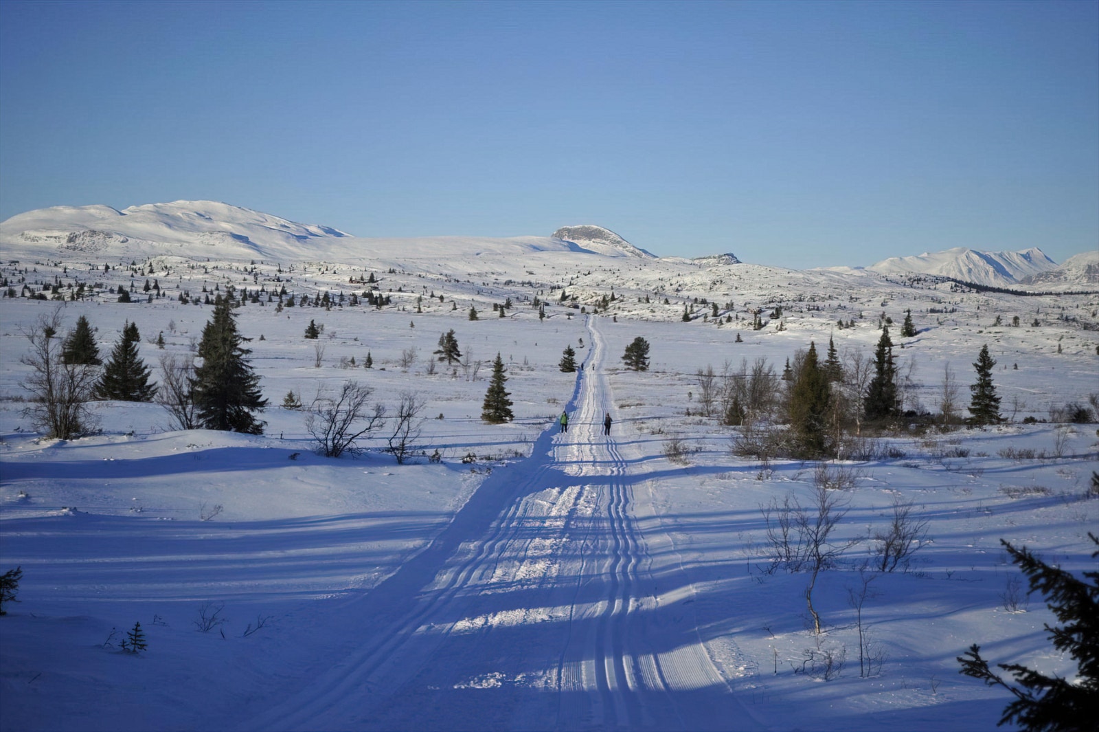 Utstrakt løypenett retning Hemsedal og fjellheimen i Ål fra Skagahøgdi Galleribilde