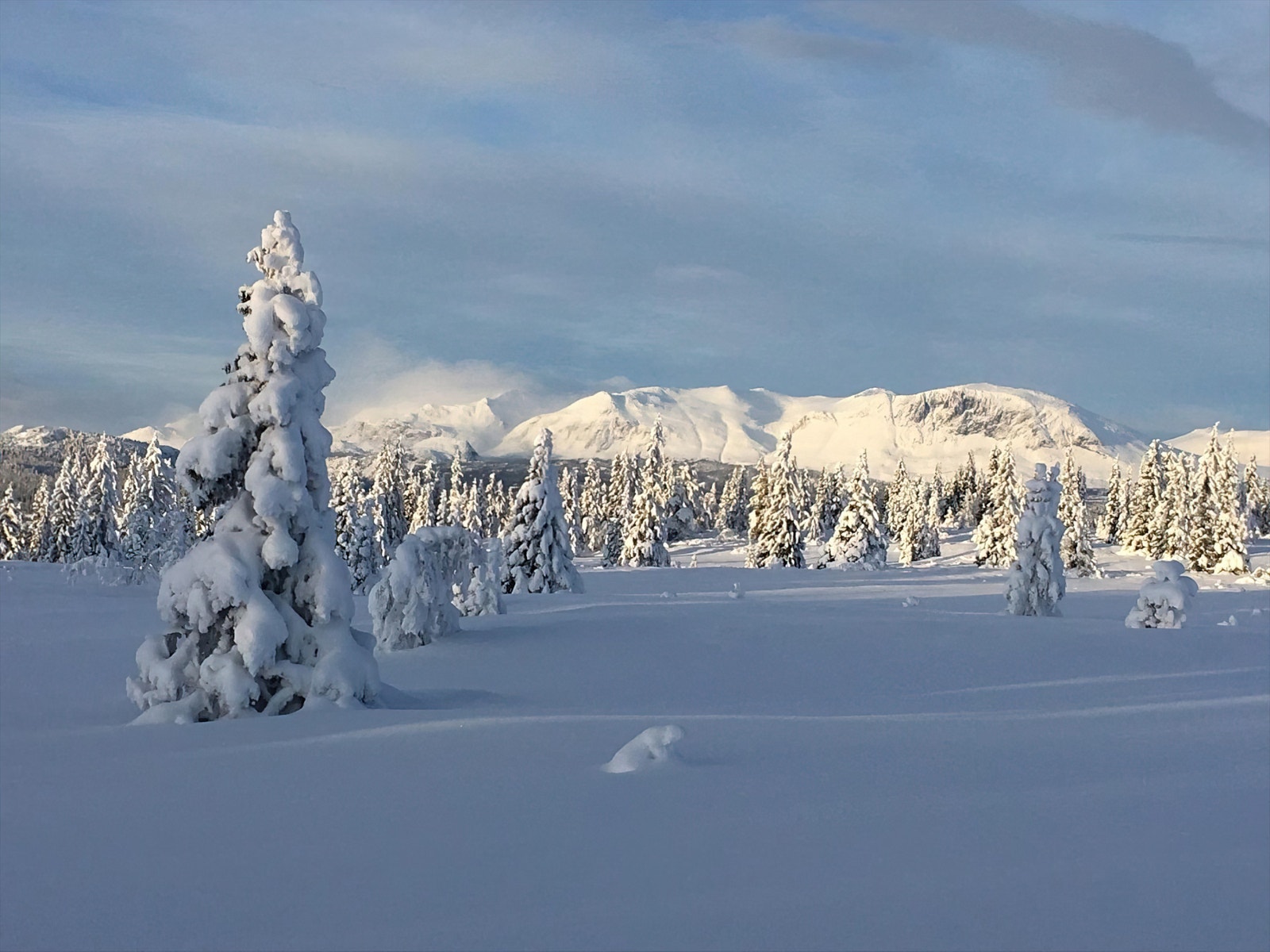 Flott naturterreng innover fjellheimen. Galleribilde