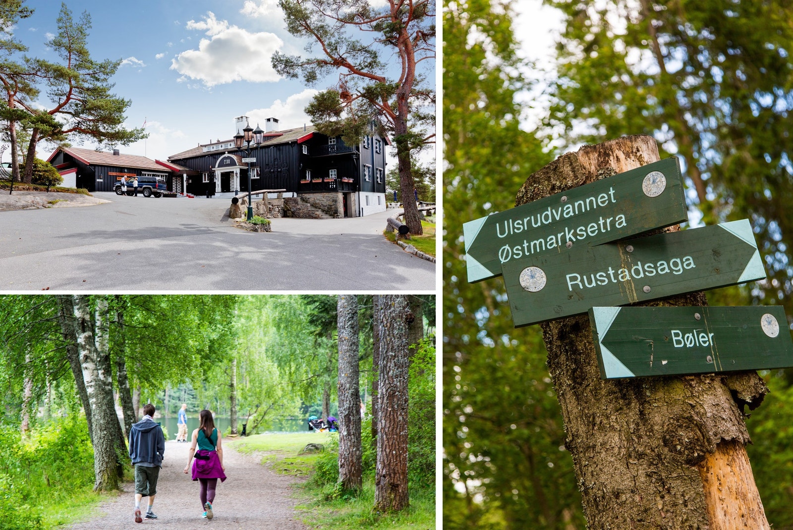 Østmarka en kort spasertur unna. Galleribilde