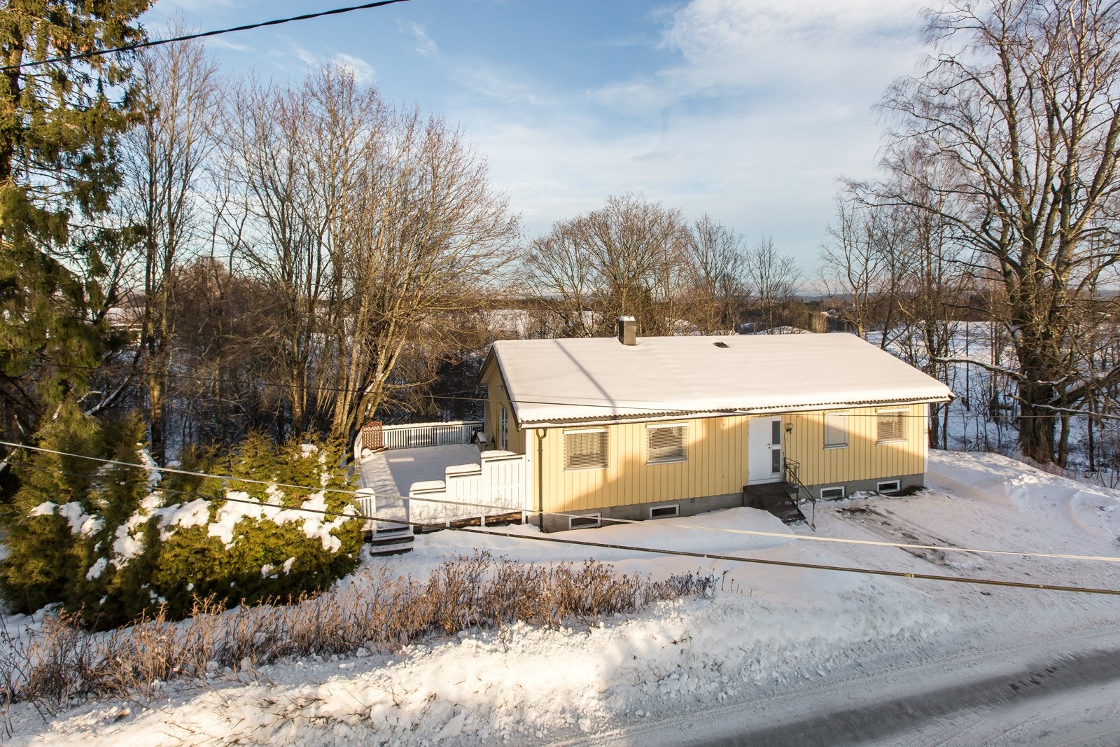 Mastefoto Galleribilde