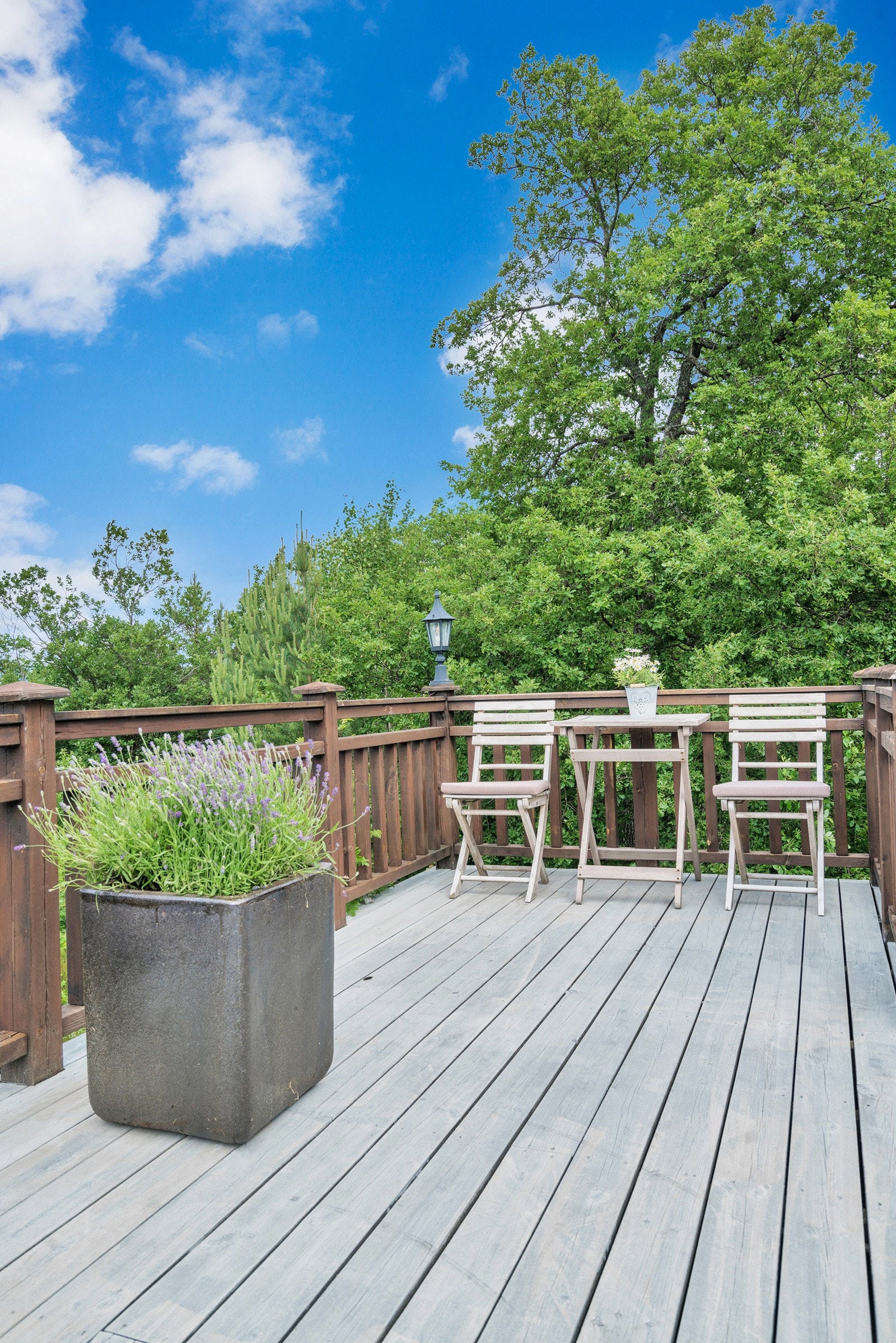 Stor, sydvestvendt terrasse med nydelig utsikt over Jegersberg. Galleribilde