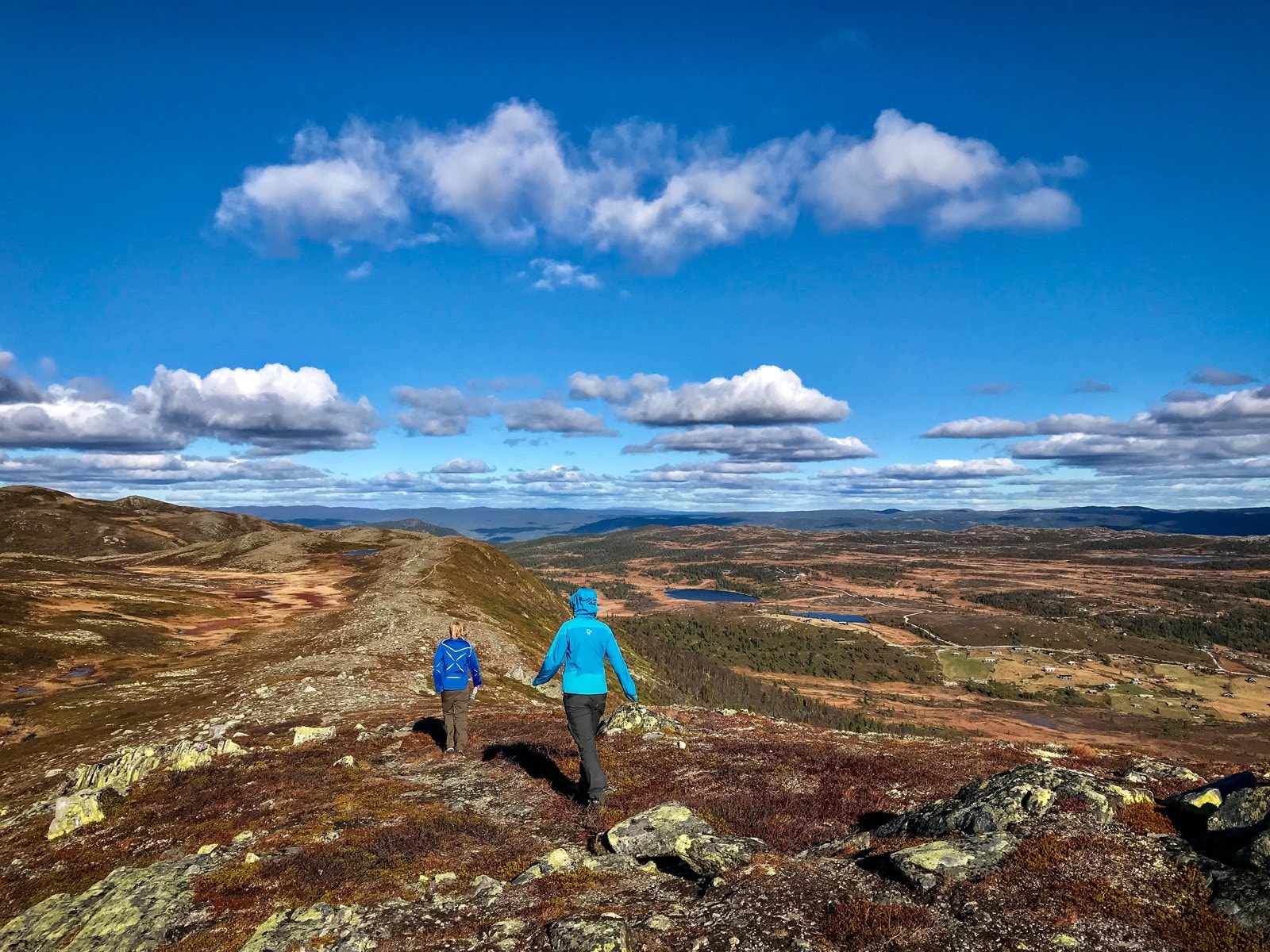 Fantastisk turterreng, sommer som vinter Galleribilde